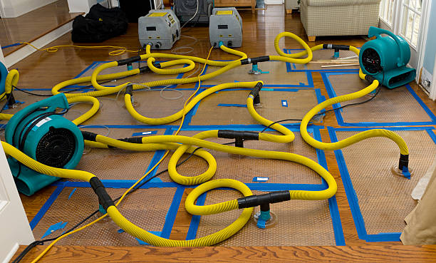 Professional Water Damage Restoration technician working in Stapleton, AL